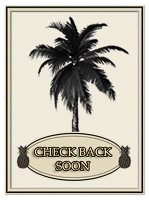 Laguna Beach Sweatshirts For Kids at Fawn Memories